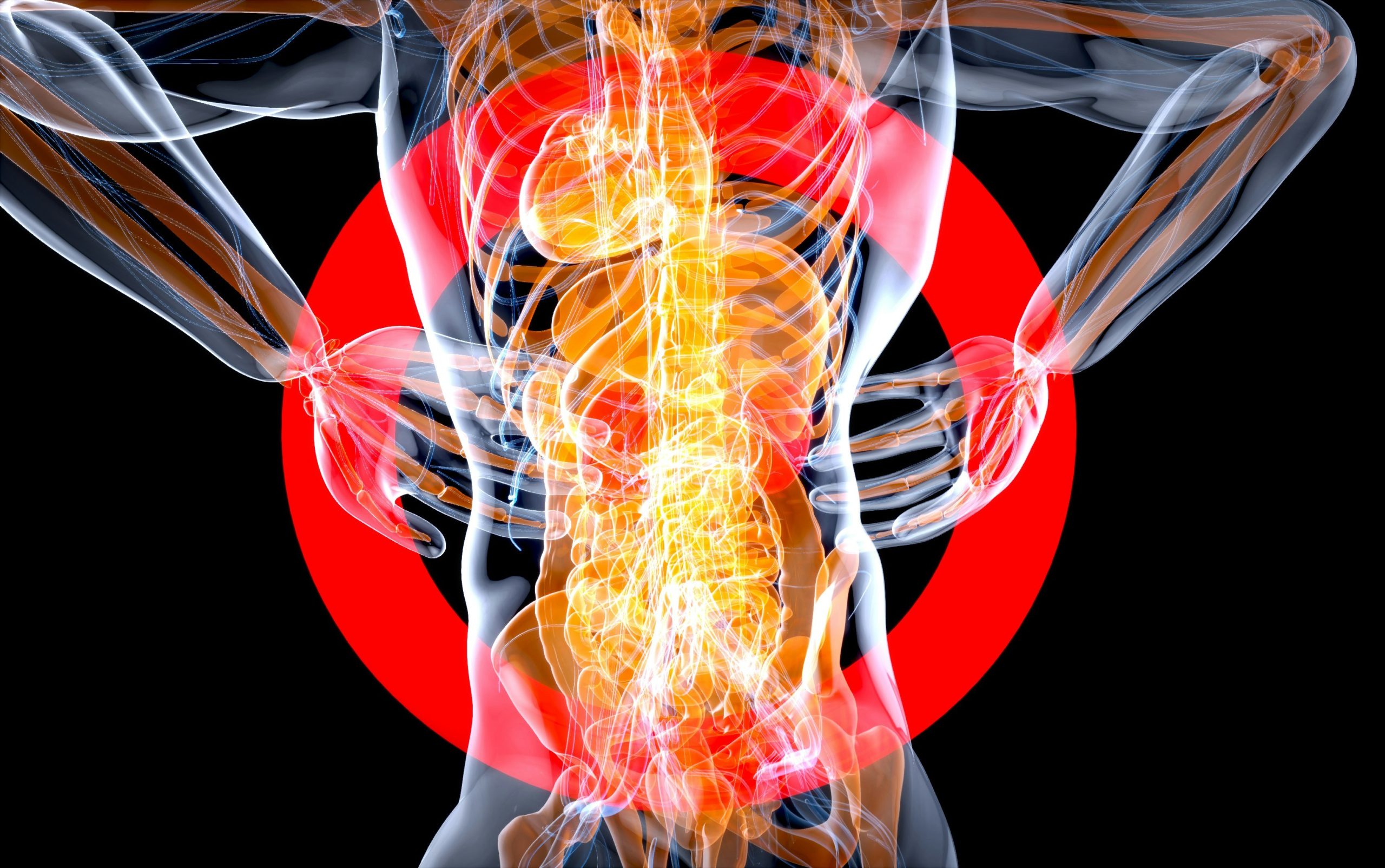 Infographic showing core muscles anatomy and their role in weight loss