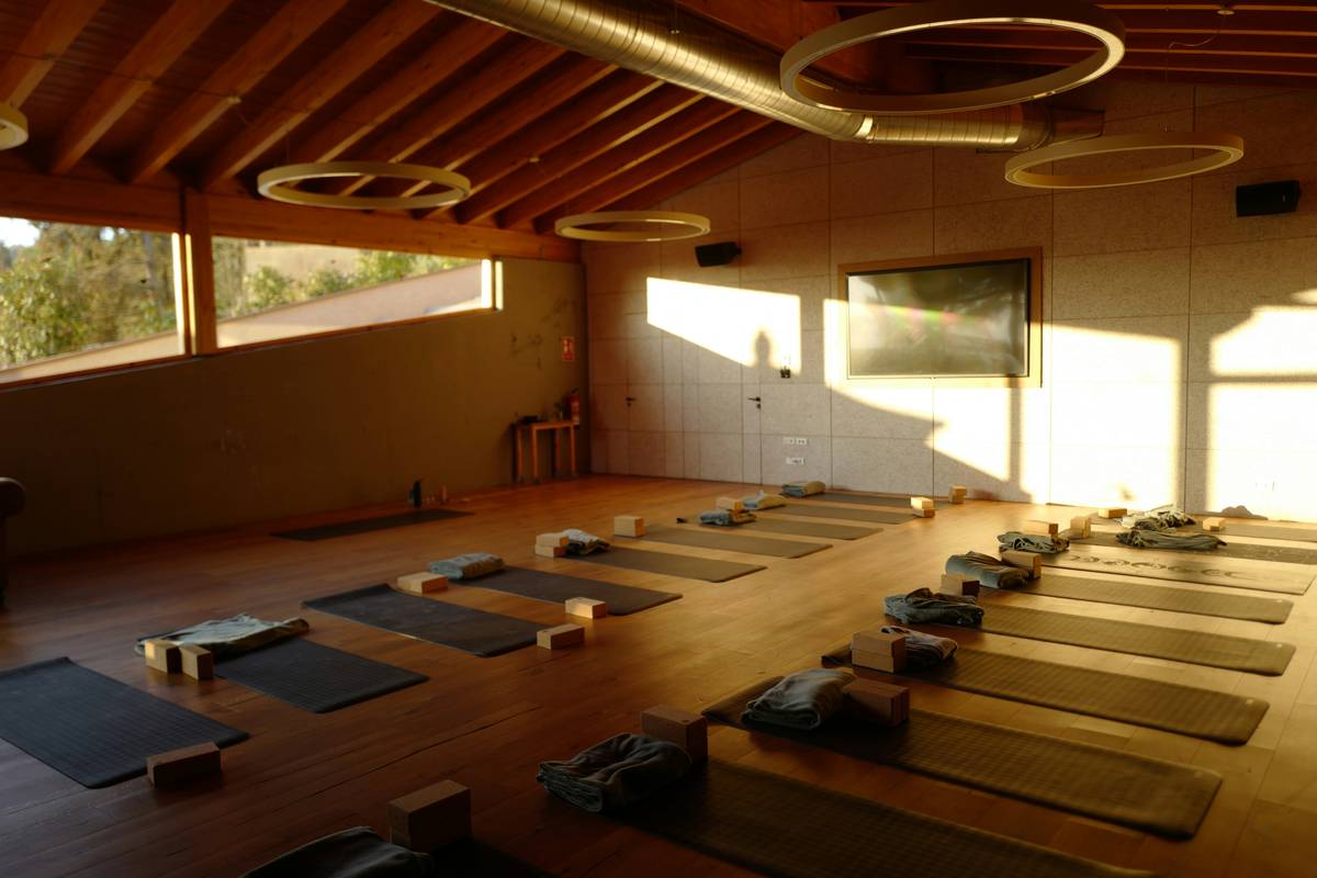 A woman doing a Pilates plank pose on a mat